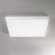 LED plafondlamp Tara Maxi, 74 cm x 74 cm