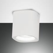 Plafondlamp Smooth, 1-lamp, wit, IP44