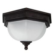 Buiten plafondlamp Fairford