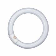 OSRAM G10q 22W 840 Lumilux T9C TL-ring