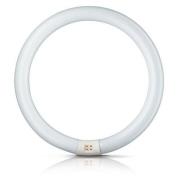 Philips Ronde G10q-tl-lamp Master Circular TL-E, 22W, 840