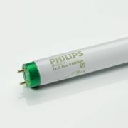 Philips G13 T8-TL-D-lamp Master Eco van 32W, 830