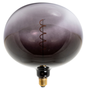 Lichtbron Edison - black