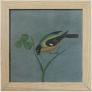 Fine Asianliving Chinees Schilderij met Lijst Vogel op Takje B42xH42cm