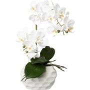 Kopu® Kunstplant Orchidee 33 cm in witte Sierpot 13x9cm - Wit