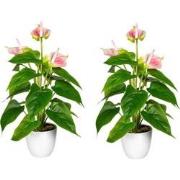 Kopu® 2 stuks Anthurium Roze Kunstplant 40 cm - Flamingoplant Roze