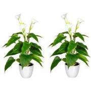 Kopu® 2 stuks Calla Kunstplant 44 cm - Zantedeschia Bekerplant Wit