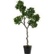 J-line - Chinese Vijg Ficus Boom In Pot Plastiek Groen/zwart Large - 4...