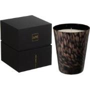 J-line - Geurkaars Noa Sandalwood Zwart/goud Large - 15.5x15.5x20cm