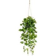 Kopu® Hangplant Philodendron 75 cm - Macramé Plantenhanger met Pot