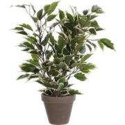 Mica Decorations Ficus Natasja Kunstplant in Bloempot Stan - H40 x Ø30...