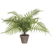 Mica Decorations Areca Palm Kunstplant - 45x45x53 cm - Groen