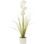 J-line - Allium In Pot Plastiek Groen/wit Small - 15x15x92cm