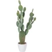 J-line - Cactus+pot Plastic Groen/melamine Wit Xl - 60x24.5x130cm