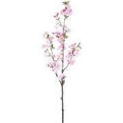 PTMD Kunstbloem Bloesem - 50x30x95 cm - Plastic - Roze