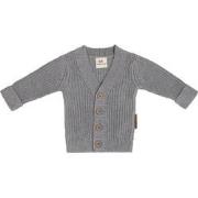 Baby's Only Vestje Soul - Grijs - 74 - 100% ecologisch katoen