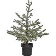 House Doctor Kerstboom natuur met lampjes 70cm