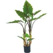 Kunstplant Alocasia Dubbel 120 cm