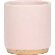 Kolibri Home | Gold foot pink bloempot - Roze keramieken sierpot met g...