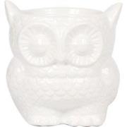 Kolibri Home | Owl bloempot - Witte keramieken sierpot - Ø9cm