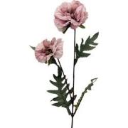 Kunstbloem papaver spray oud roze, 64 cm