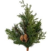 Cypress tak b13h25 cm groen