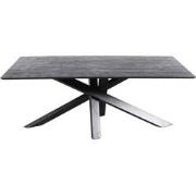 PTMD Alore Black Black Diningtable Rectangle 200 Cm