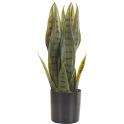 Beliani SNAKE PLANT - Kunstplant-Groen-Synthetisch materiaal