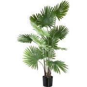 PTMD Kunstplant Palm Tree - 80x80x134 cm - Plastic - Zwart