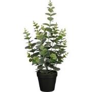 Mica Decorations Eucalyptus Kunstplant in Bloempot - H53 x Ø23 cm - Gr...