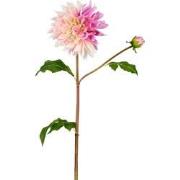 Lichtroze en fuchsia kunst dahlia steel H20