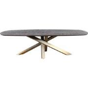 PTMD Alore Brown Gold Diningtable Oval  240 Cm