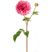 Kunstmatige roze dahlia steel met knop H50