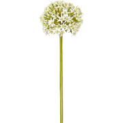 Witte kunst allium everest steel H90