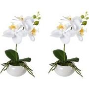 Kopu® Set 2 stuks Mini Kunstplant Orchidee 27 cm in witte Sierpot - Wi...