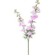 Delphinium tak l.pink