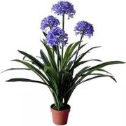 Agapanthus kunstplant