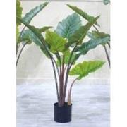 Kunstplant Alocasia 110 cm