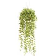 Hangplant met pot 6