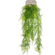 Emerald Asparagus plumosus hanging bush x6 80 cm kunstplant