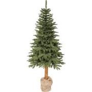 Tiaga fir d98h210 cm groen