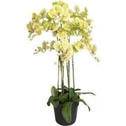 Orchidee kunstplant 9-tak 110 cm, groen