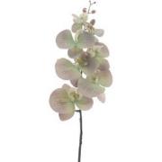 Kunstbloem phalaenopsis green, 90 cm