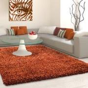 Tapijtenloods Basic Shaggy vloerkleed Terra / Oranje Hoogpolig- 60x110...