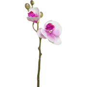 Roze kunstmatige phalaenopsis orchideestam H21