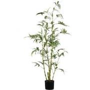 PTMD Tree Green Bamboo Tree In Pot