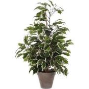 Mica Decorations Ficus Exotica Kunstplant - H65 x Ø40 cm - Pot - Groen