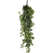 Mica Decorations Fittonia Kunst Hangplant - L15 x B30 x H80 cm - Groen