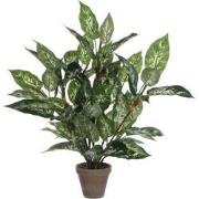 Mica Decorations Dieffenbachia Kunstplant - H70xØ55 cm - Pot - Groen