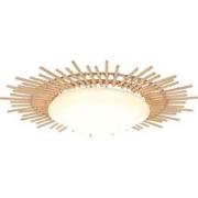 Anne Lighting plafonniere Aura - wit - kunststof - 50 cm - ingebouwde ...